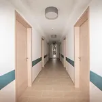 Magaspart Panzió 3*